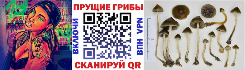 Галлюциногенные грибы мухоморы  купить наркотики сайты  Ворсма 